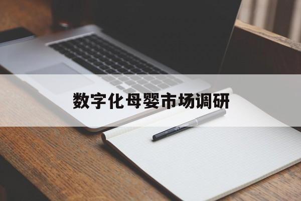 南昌市数字化母婴市场调研(数字化母婴市场调研报告)
